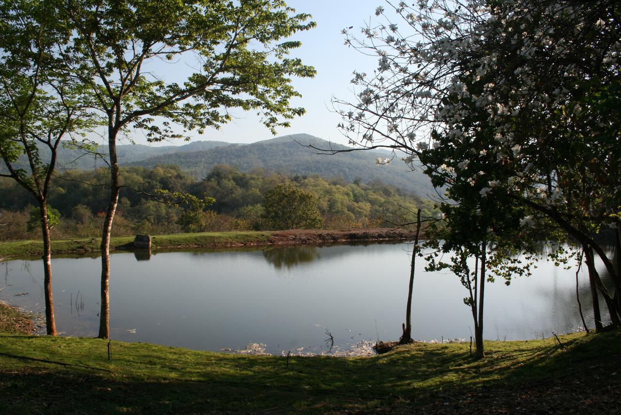 Mountain Creek Lodge Хейзивю Екстериор снимка